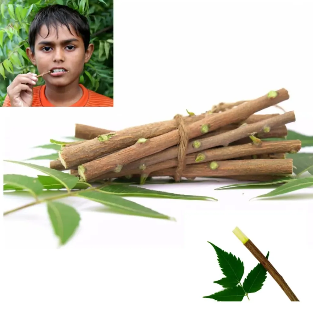 YHT Neem Natural Datun – 100% Natural Neem Sticks 10pis